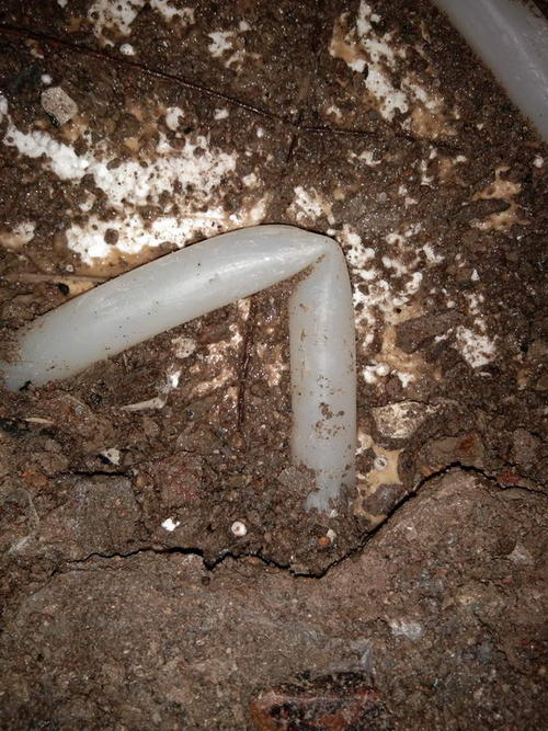 龙岗堵点精准查找